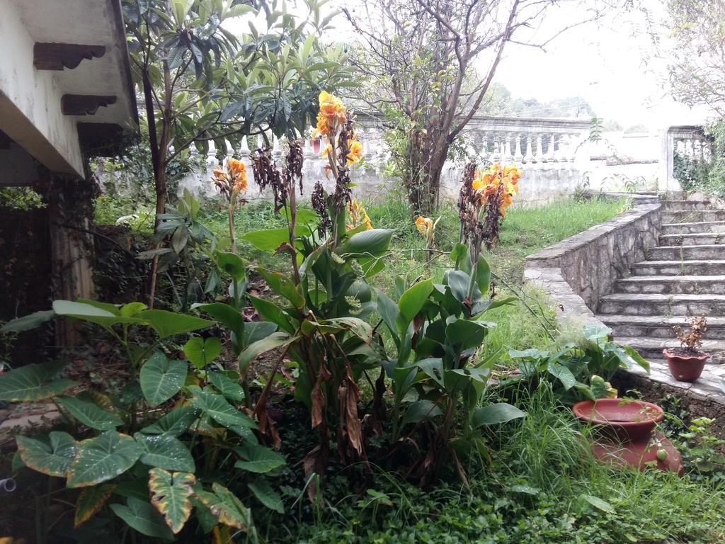 Hosteria Del Virrey - B&B San Cristóbal de Las Casas 외부 사진